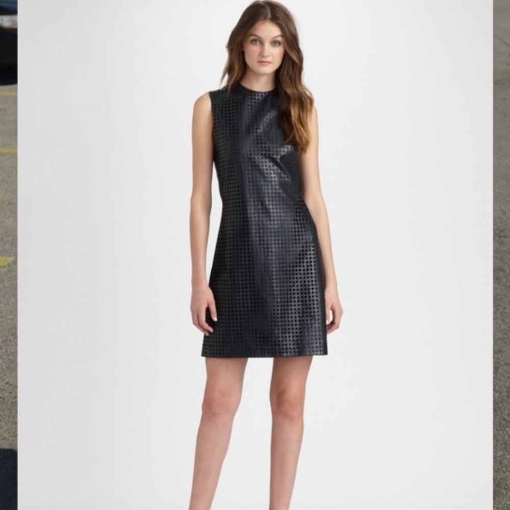 Raoul Leather Dress all low to day